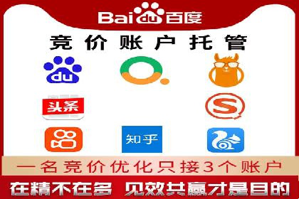 成功案例解析：SEM竞价托管运营策略
